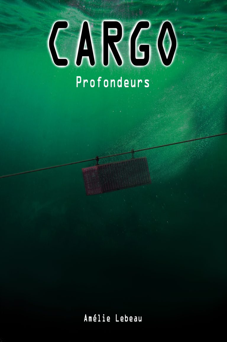 3_couverture1Profondeurs